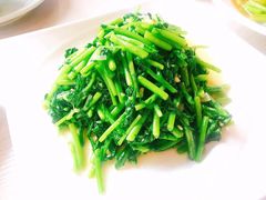 -斯琴阿妈蒙古餐厅(新城店)