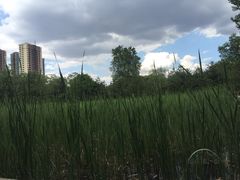 森林公园-森林公园(尖草坪区)