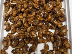 -码头鲜精致威海菜(欧乐坊店)