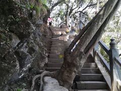 -塔云山