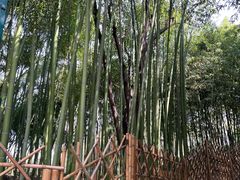 -西安市长乐公园