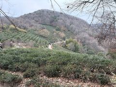 -南北湖风景区