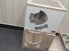 -宠爱国际动物医院·疑难骨科·心肾内科·皮肤科(太阳宫店)