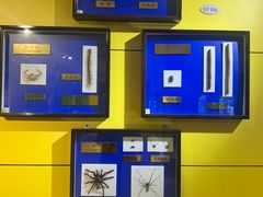 -上海昆虫博物馆