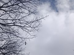 -鹫峰国家森林公园