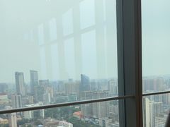 -视界美食自助餐厅·石家庄希尔顿酒店