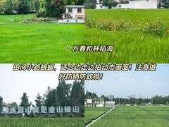 -老鼎万春卤菜(五代传承创始老店)