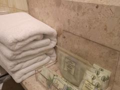 -南京钟山宾馆(江苏省会议中心)