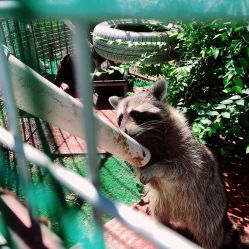 -萌宠亲子动物乐园(槐房万达店)