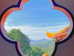 -深圳仙湖植物园