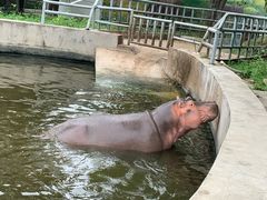 -西安秦岭野生动物园
