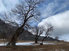 -硗碛藏寨·神木垒景区