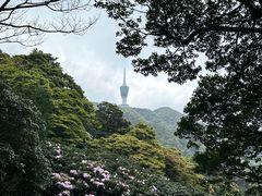 -梧桐山风景名胜区