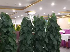 -九头鸟酒家(东高地店)