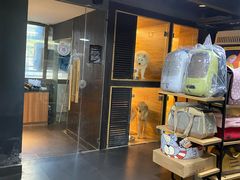 -宠宠熊宠物美容(星湖街店)
