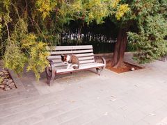 -团结湖公园