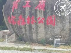 -海南霸王岭国家森林公园