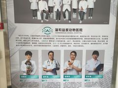 -谐和益家动物医院·免疫绝育·血液透析·宠保定点医院(高新伊藤分院)
