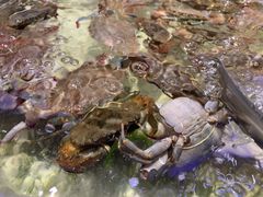 -诱货海鲜自助火锅(爱琴海购物公园东百店)