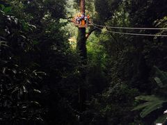 -清迈丛林飞跃 JungleFlight