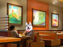 -The Habit Burger Grill 哈比特汉堡(复兴soho店)