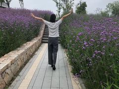-葛仙湖公园