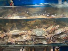 -荣祥海鲜·烟台菜(胜利路二部)
