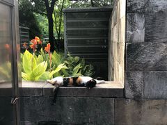 -上海市中医医院(石门路院区)