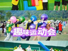 -栖露营camping·天幕烧烤·团建拓展·采摘营地