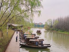 -溱湖国家湿地公园