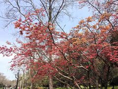 -石湖景区