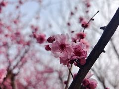 -堤角公园