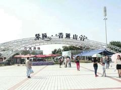 -紫颐香薰山谷景区