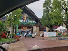 -苏州乐园森林水世界