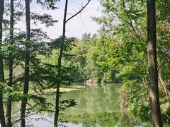 -桤木河湿地公园