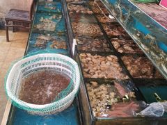 -小铜锣湾海鲜家常菜馆(河西店)