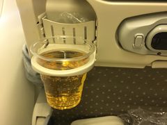 -新加坡航空公司(ION)
