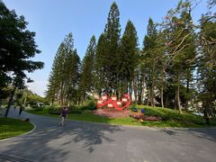 -四海公园(南山区)
