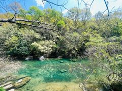-黄山翡翠谷景区