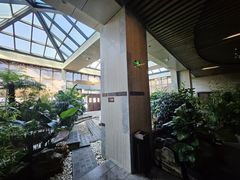 -白桦林温泉谷