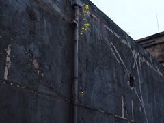 -半岛1919创意园区