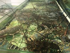 -鲤鱼门海鲜街