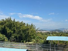 -竹泉农庄·竹筒饭(从化店)