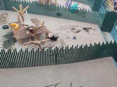 -沈阳森林动物园