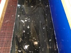 -活鱼馆(宜兴埠店)