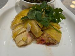 -老绍兴养和饭店(向阳不夜城店)