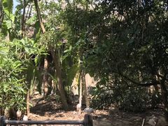 -三亚千古情景区游客中心-接待中心