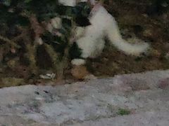 -贮水山儿童公园