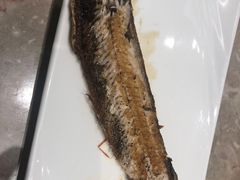-上渔铁板烧(熙悦汇店)