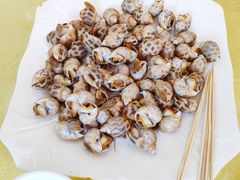 白灼花螺-浩海美食店(闸坡店)